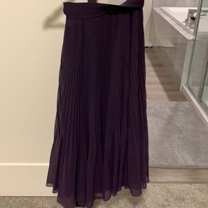 Aritzia Terre Skirt in Dark Purple
